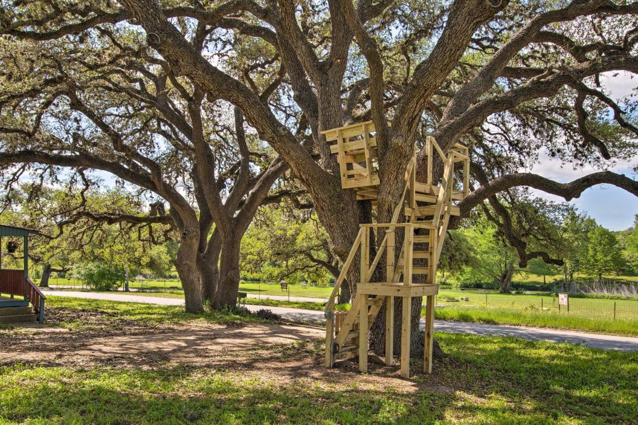 Betty Bs River House Less Than 1 Mi To Blanco State Park! Exterior foto